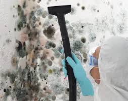 Why You Should Choose Our Mold Remediation Services in Redlands, CA